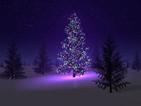 Beautiful christmas tree (tomasha.com)